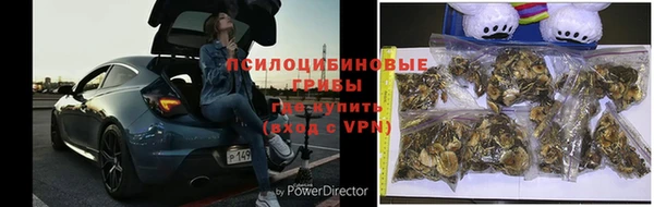 синтетический гашиш Алексин