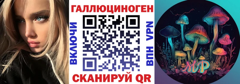 Галлюциногенные грибы MAGIC MUSHROOMS  цена наркотик  Грязи 